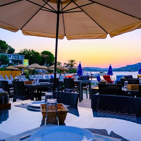 Tici By Ozel Group